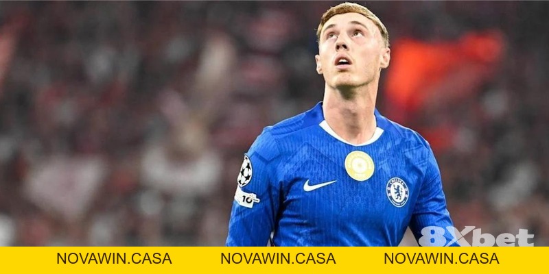 Cách Chơi Cá Cược World Cup Cho Người Mới: Sự Thật Không Như Bạn Nghĩ – 8XBET